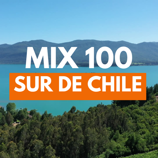 Mix 100 Sur de Chile