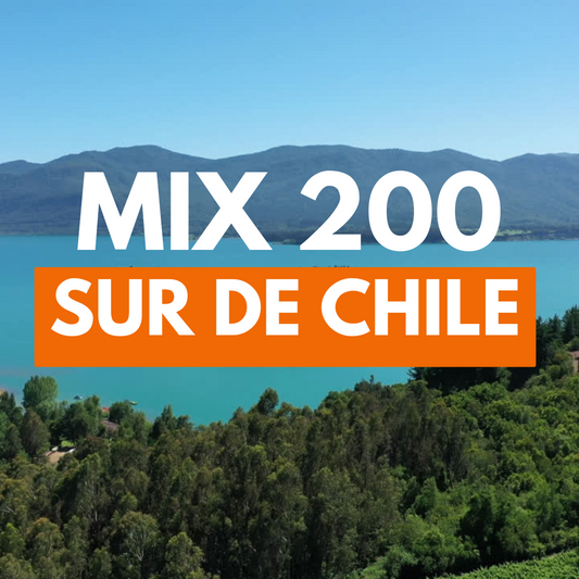 Mix 200 Sur de Chile